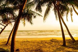Meeresstrand mit Kokospalme bei Sonnenuntergang foto