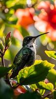 ai generiert ein Kolibri Sitzstangen auf ein Baum Ast foto