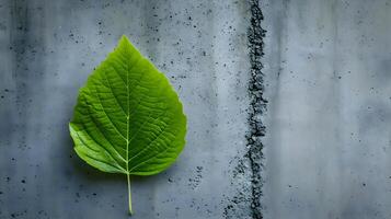 ai generiert ein Grün Blatt Verlegung auf ein Beton Oberfläche foto