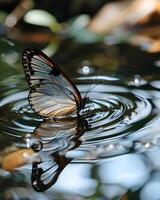 ai generiert ein Schmetterling Das ist schwebend im etwas Wasser foto