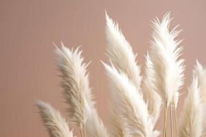 ai generiert Pampas Gras Hintergrund, Weiß flauschige Pampas Gras foto