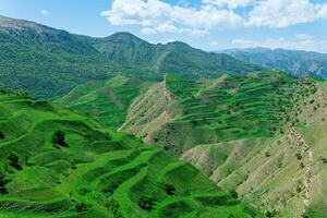 terrassiert Ackerland auf das Berg Pisten im Dagestan foto