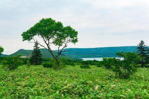 natürlich Landschaft von Kunaschir Insel, Aussicht von das golovnin Vulkan Caldera mit heiß Seen foto