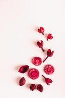 trocken rot Blumen auf Rosa Hintergrund. eben legen oben und Vertikale Aussicht foto
