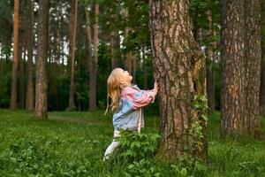 wenig Mädchen Mädchen suchen oben entlang ein Baum Kofferraum Sehen ein Vogel oder Eichhörnchen foto