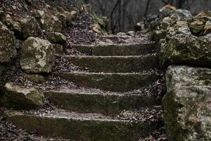 Antiquität Treppe gemacht von natürlich Stein im düster Herbst Landschaft draußen foto