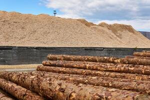 Stapel von Protokolle und Stapel von Holz Sägespäne im das Holz Hof foto