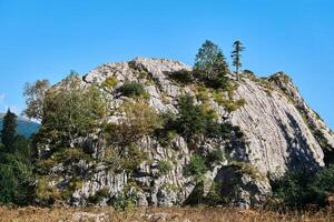 freistehend enorm Kalkstein Cliff bewachsen mit Bäume foto