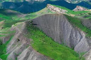 alpin Weide mit ein Herde von Schaf, Antenne Aussicht foto