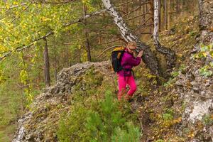 weiblich Wanderer Trekking im das Herbst Wald foto