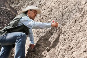 Paläontologe entdeckt Fossil Knochen und reinigt es mit ein Bürste foto