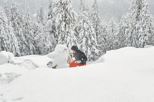 Frau ist beschäftigt, verlobt im Trekking im das Winter Berge foto