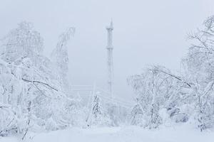 gefrostet Zelle Turm und elektrisch Drähte unter ein schneebedeckt Wald auf oben von ein Berg gegen ein Winter Himmel foto