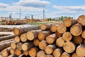 Stapel von Protokolle im das Holz Hof foto