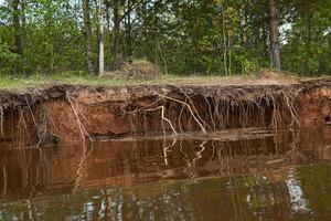 lehmig Bank von das Fluss ist gewaschen Weg durch Wasser während Überschwemmungen foto