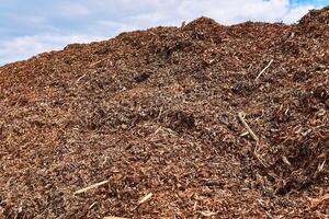 Haufen von Baum Rinde entfernt von Protokolle beim ein Holzbearbeitung Fabrik gegen Himmel foto