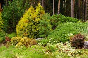 vielfältig Vegetation im ein landschaftlich gestaltet Bereich foto