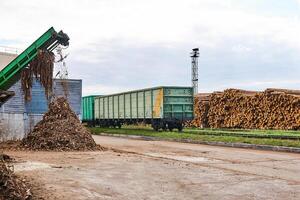 Bauholz Hof mit Stapel von Protokolle, öffnen Fracht Wagen und Rinde Hacker foto