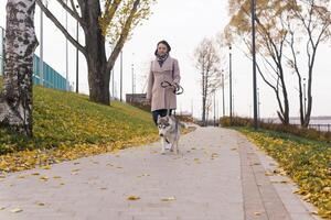 Frau mit Hund Gehen im das Herbst Park foto