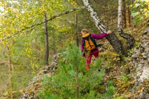 jung Tanne Baum im ein Berg Wald, im das Hintergrund im das verwischen ein Frau ist beschäftigt, verlobt im Trekking foto