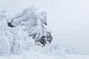 schneebedeckt Cliff und eisig Bäume auf das Berg bestehen im Winter foto