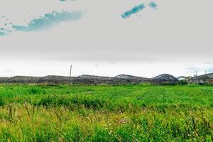 Frames von verlassen Gewächshäuser unter wild Gras, Krise von landwirtschaftlich Produktion foto