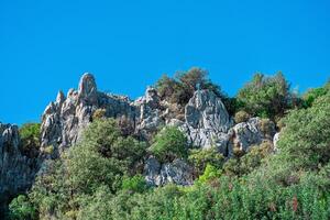 tropisch Berg Landschaft - - buschig Vegetation unter Weiß Felsen foto