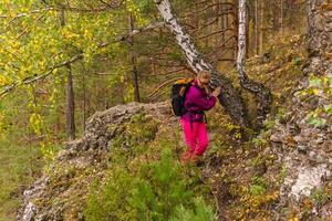 weiblich Reisender Trekking im das Herbst Wald foto