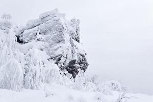 gefroren Felsen und Bäume mit Reif bedeckt Geäst auf ein Berg bestehen nach Schneesturm foto