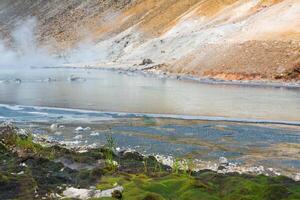 extremophil Vegetation auf das Ufer von ein heiß mineralisiert vulkanisch See, erinnernd von das zuerst Land Pflanzen foto