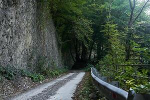 Sektion von ein Straße mit ein Anti-Steinschlag Netz auf ein Felsen Leiste im ein Berg Wald foto