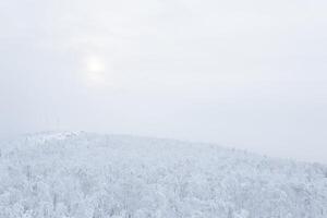 Winter Aussicht zu das schneebedeckt bewaldet Hügel im eisig Nebel, Zelle Türme sind sichtbar im das Entfernung foto