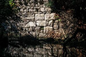 Mauer von uralt Ruinen im das Urwald durch das See foto