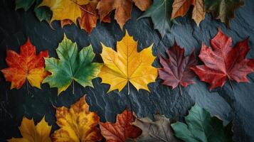 ai generiert Herbst Ahorn Blatt Überleitung und Variation Konzept zum fallen und Veränderung von Jahreszeit foto
