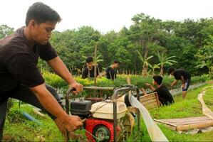 jung asiatisch Spieler sind drehen auf das Wasser Pumpe zu bewässern ein Chili Garten im Vorbereitung zum Ernte. während das Tag mit traditionell Werkzeuge und schwarz T-Shirts foto