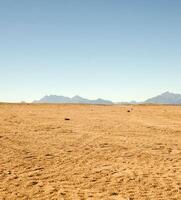 das schön ägyptisch Sinai Halbinsel mit Gelb Sand, Wüste, Plateaus und hoch und großartig Berge, welche ist gelegen auf das Grenzen mit Palästina und Gaza, welche enthält das suez Kanal foto