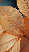 ai generiert Blatt Skelett flüstert im getrocknet Fasern foto