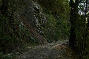 Schmutz Straße auf ein steil Steigung im ein bewaldet bergig Bereich foto