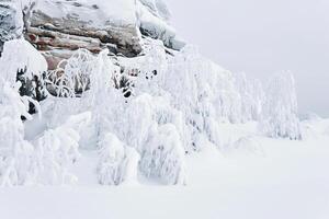 gefroren Felsen und Bäume mit Reif bedeckt Geäst auf ein Berg bestehen nach Schneesturm foto