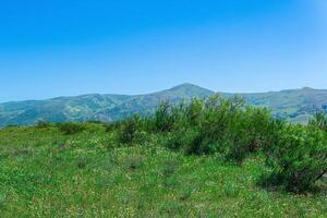 Blühen Frühling Steppe im das Ausläufer von das Kaukasus Berge, ein Landschaft im Dagestan foto