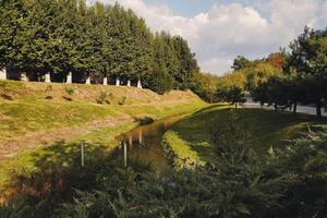 sonnig Stadt Park und Enten Leben durch das Fluss foto