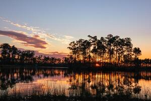 Everglades Sonnenuntergang Florida foto