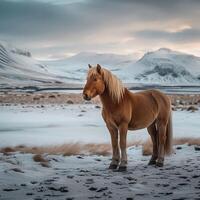 ai generiert Pferd steht gegen atemberaubend isländisch Hintergrund, Erstellen atemberaubend Landschaft zum Sozial Medien Post Größe foto