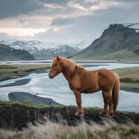 ai generiert Pferd steht gegen atemberaubend isländisch Hintergrund, Erstellen atemberaubend Landschaft zum Sozial Medien Post Größe foto