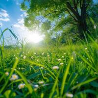 ai generiert perfekt sonnig Tag im Frühling, Ideal zum draussen Aktivitäten zum Sozial Medien Post Größe foto