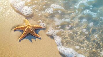 ai generiert Seestern auf das Sand Strand im klar Meer Wasser. Sommer- Hintergrund. Sommer- Zeit .Kopieren Raum. entspannend auf das Strand. foto