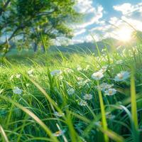 ai generiert idyllisch Frühling Tag mit klar Himmel und warm Sonnenschein zum Sozial Medien Post Größe foto