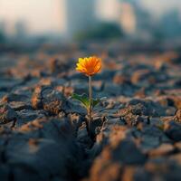 ai generiert Symbol von Elastizität hoffnungsvoll Blume blüht inmitten trocken Boden zum Sozial Medien Post Größe foto