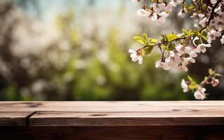 ai generiert leeren hölzern Tisch, Anzeige mit verschwommen Blühen Kirsche Geäst Hintergrund. Frühling Natur und Blumen Thema Konzept. Kopieren Raum zum Produkt Präsentation, Vitrine. foto