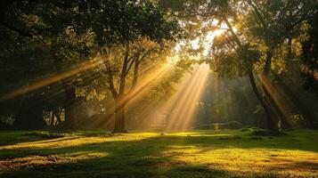 ai generiert Sonnenaufgang Strahl im das schön Park foto